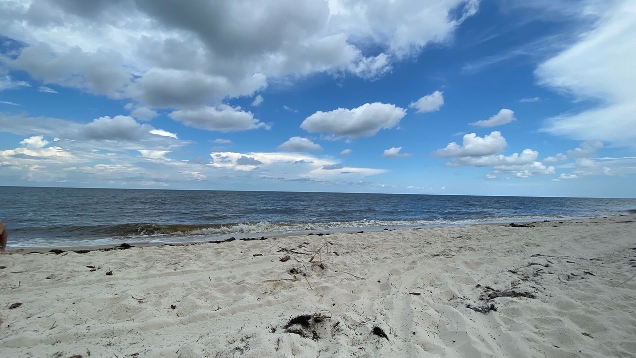 Photo of Others in Alligator Point