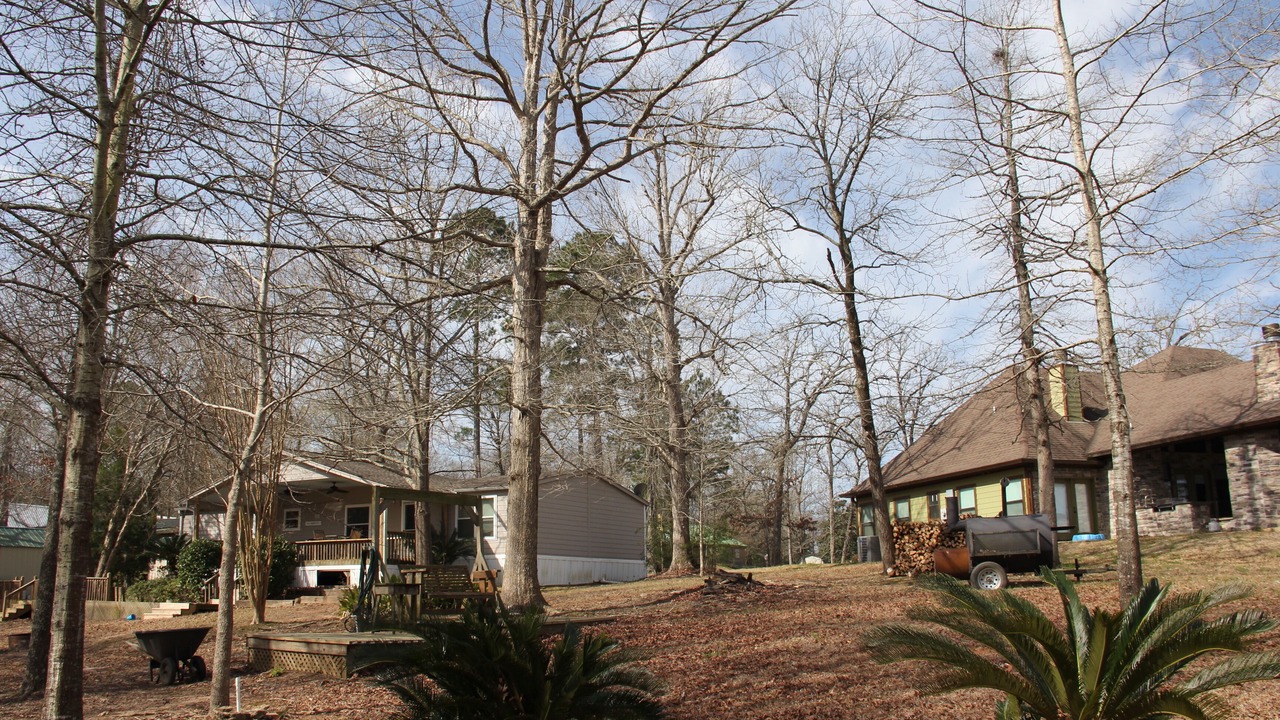 Photo of Outdoor in Hemphill