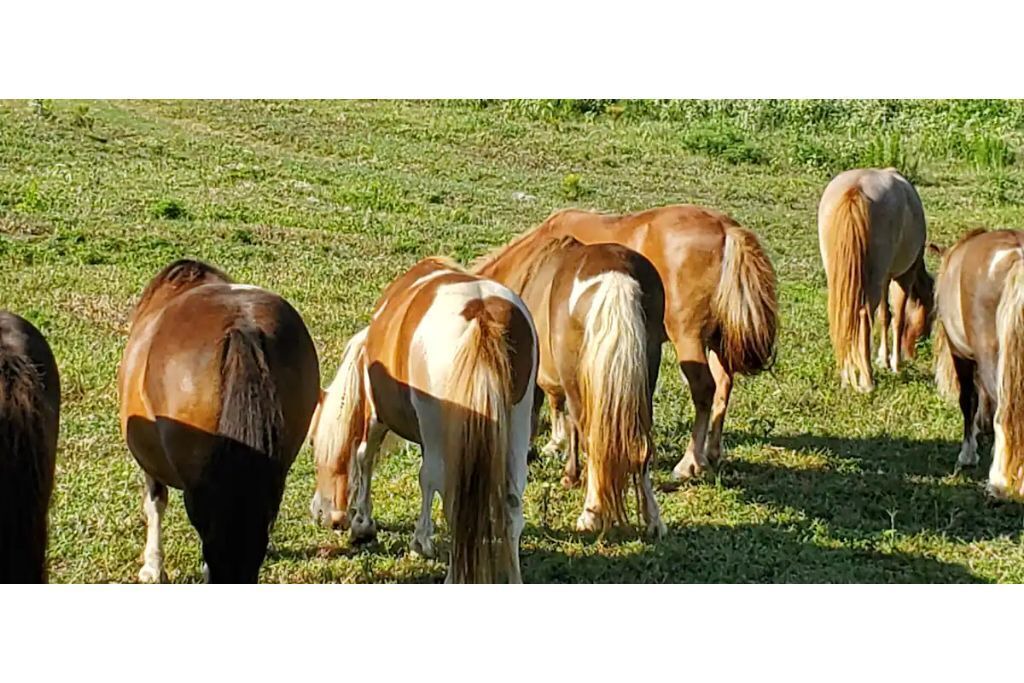 Photo of Others in Big Sandy