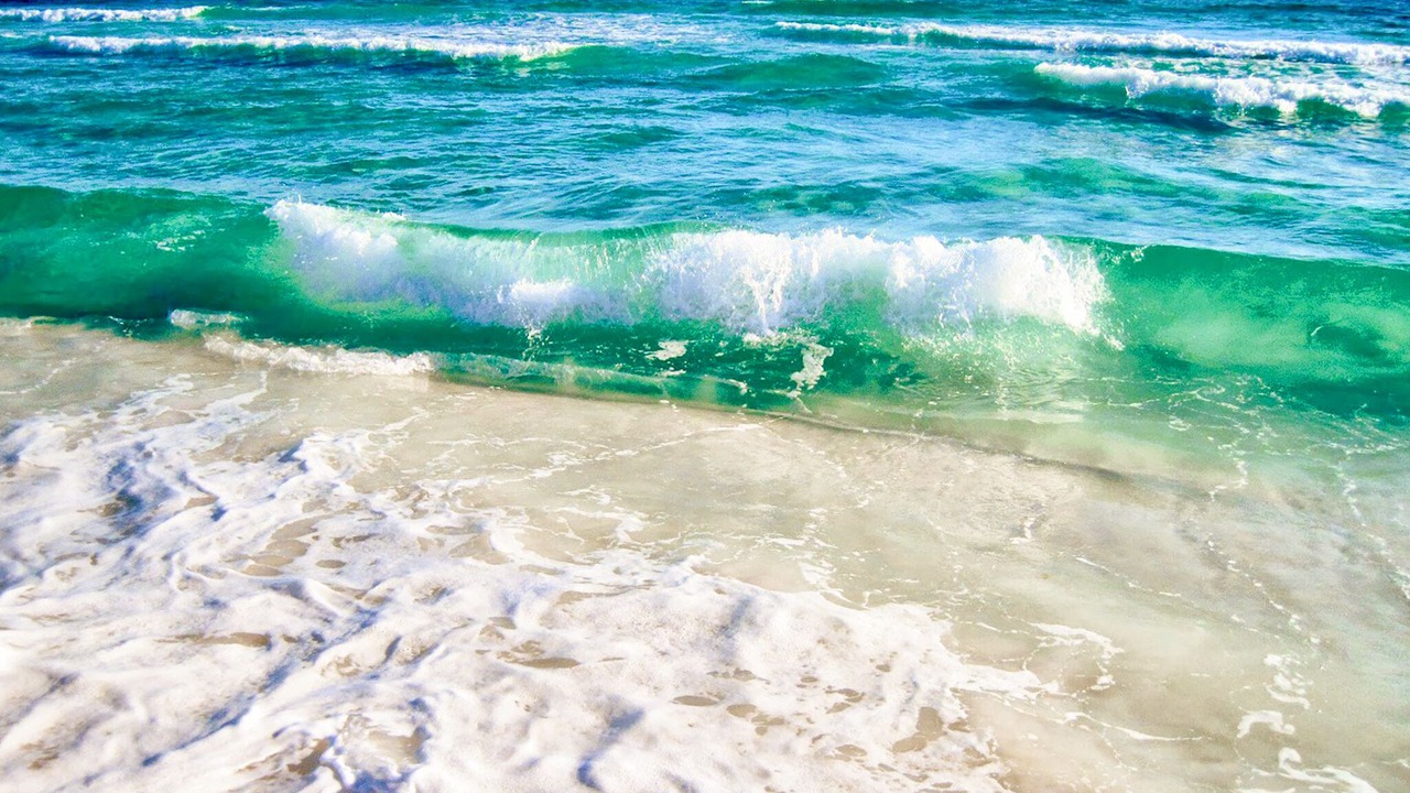 Photo of Others in Destin