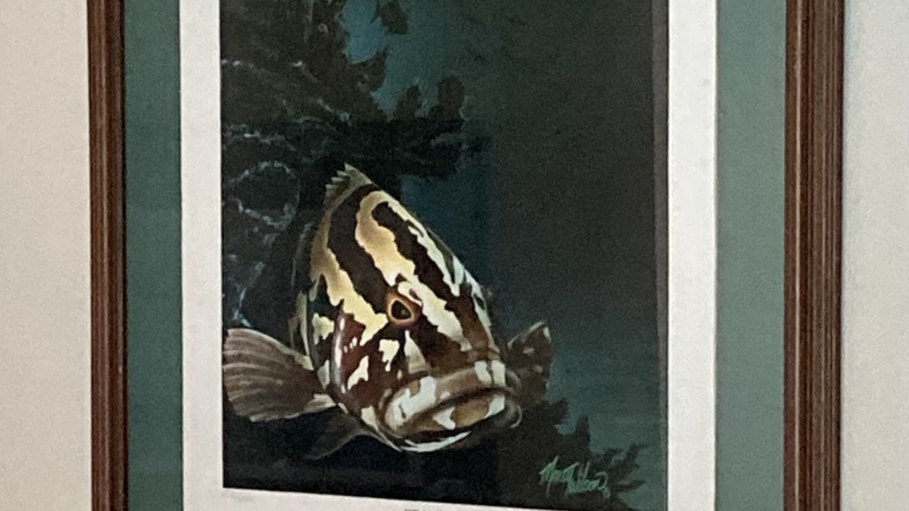 Photo of Others in Diamondhead