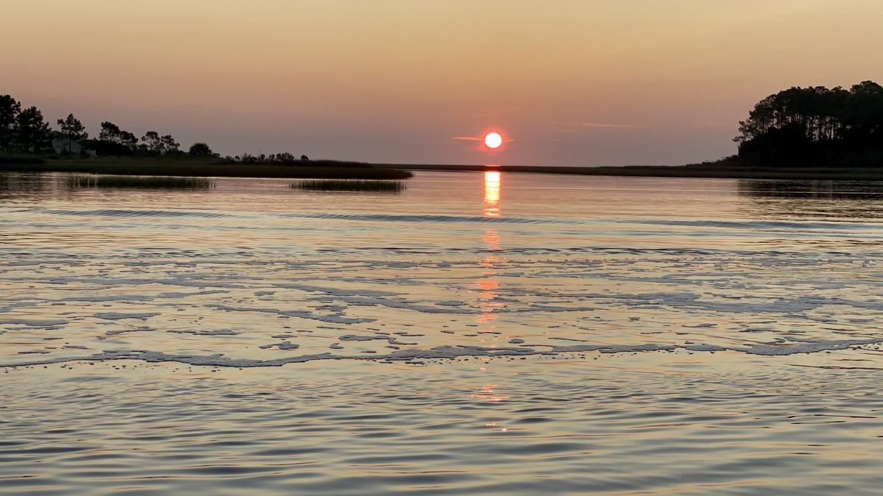 Photo of Others in Carrabelle