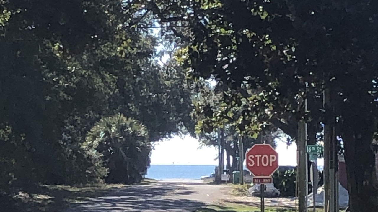 Photo of Others in Mississippi City