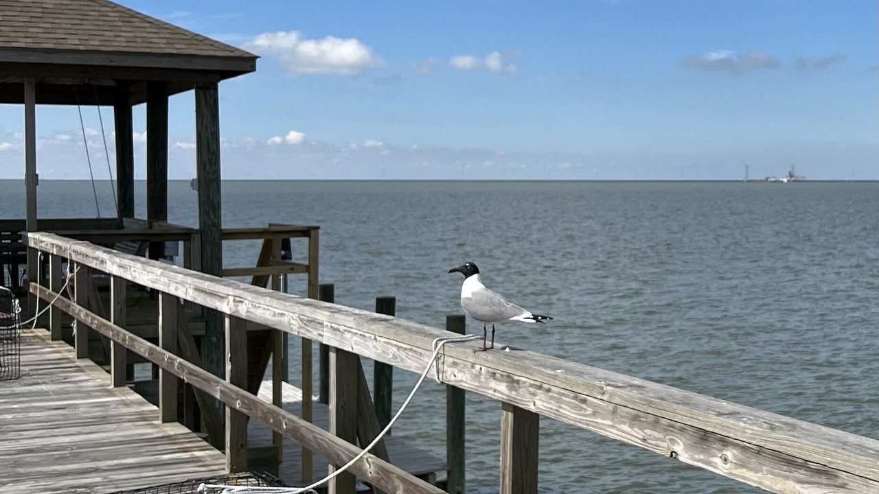 Photo of Others in Slidell
