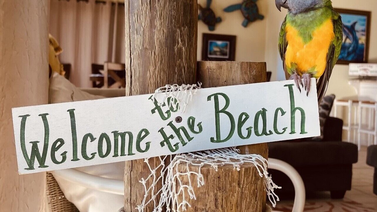 Photo of Others in Treasure Beach Village