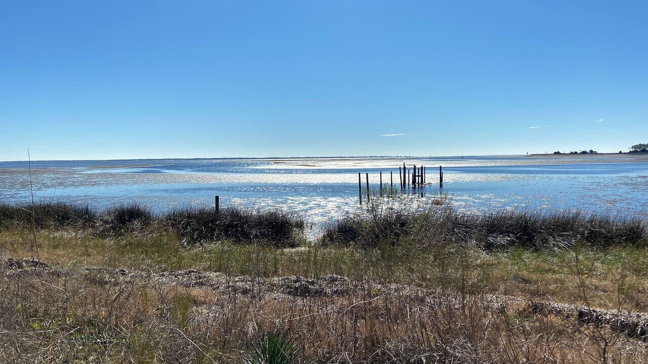 Photo of Others in Carrabelle