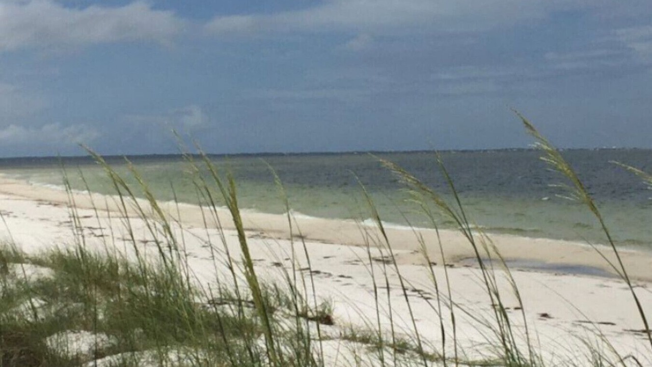 Photo of Others in Carrabelle