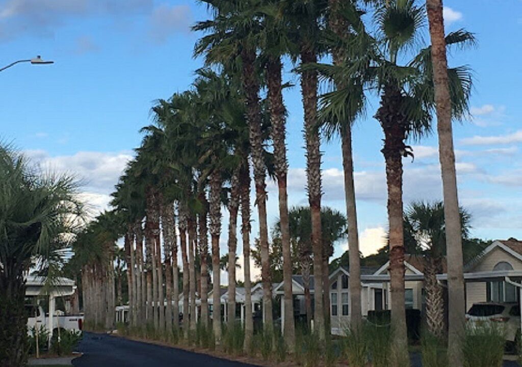 Photo of Outdoor in Upper Grand Lagoon