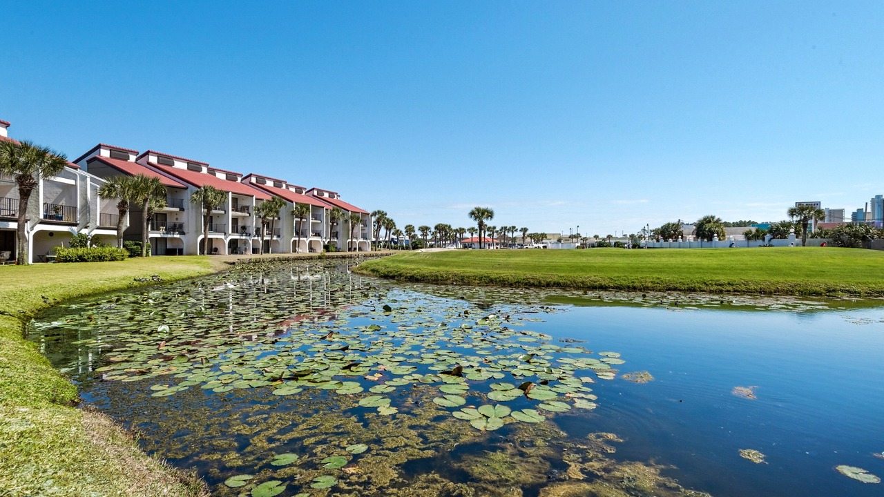 Photo of Outdoor in Panama City Beach