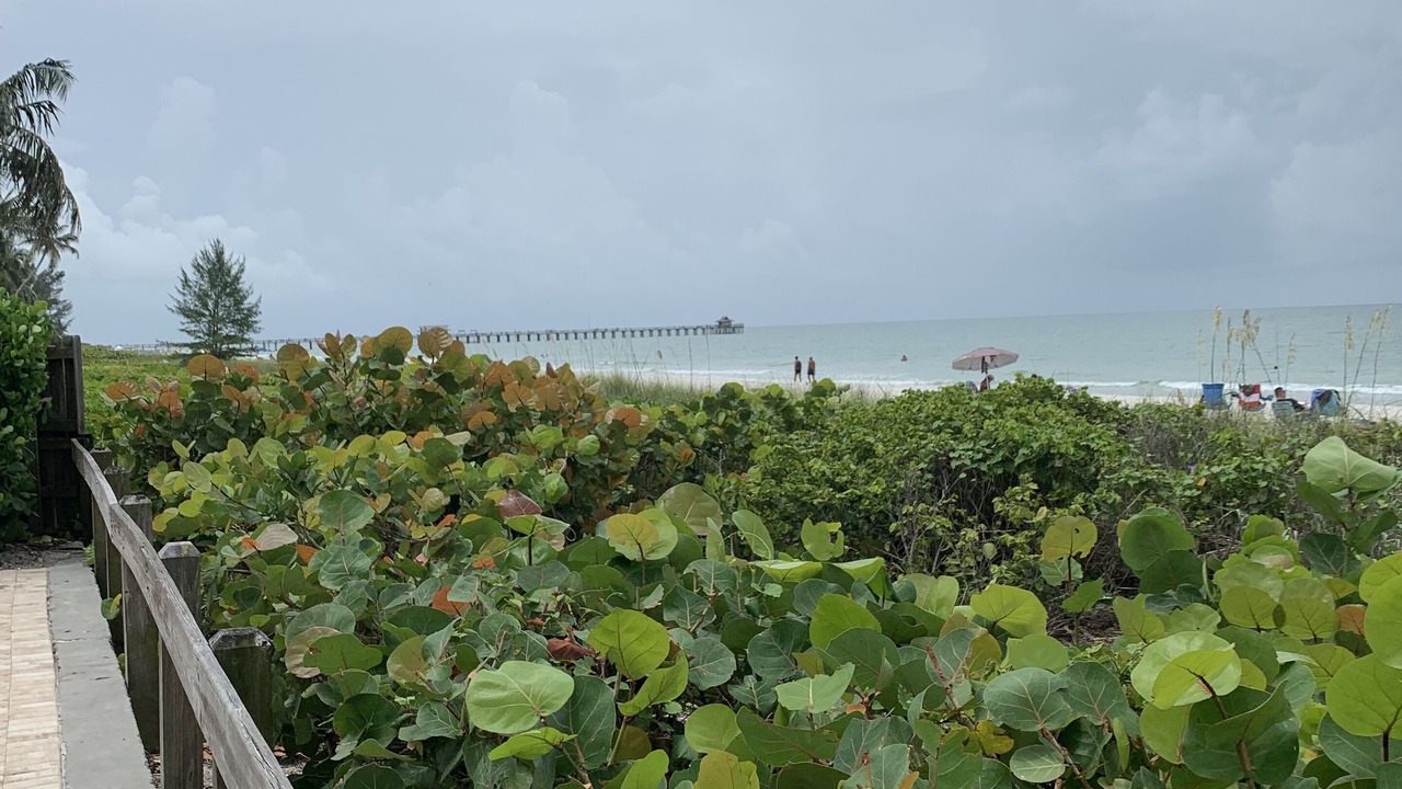 Photo of Others in Old Naples