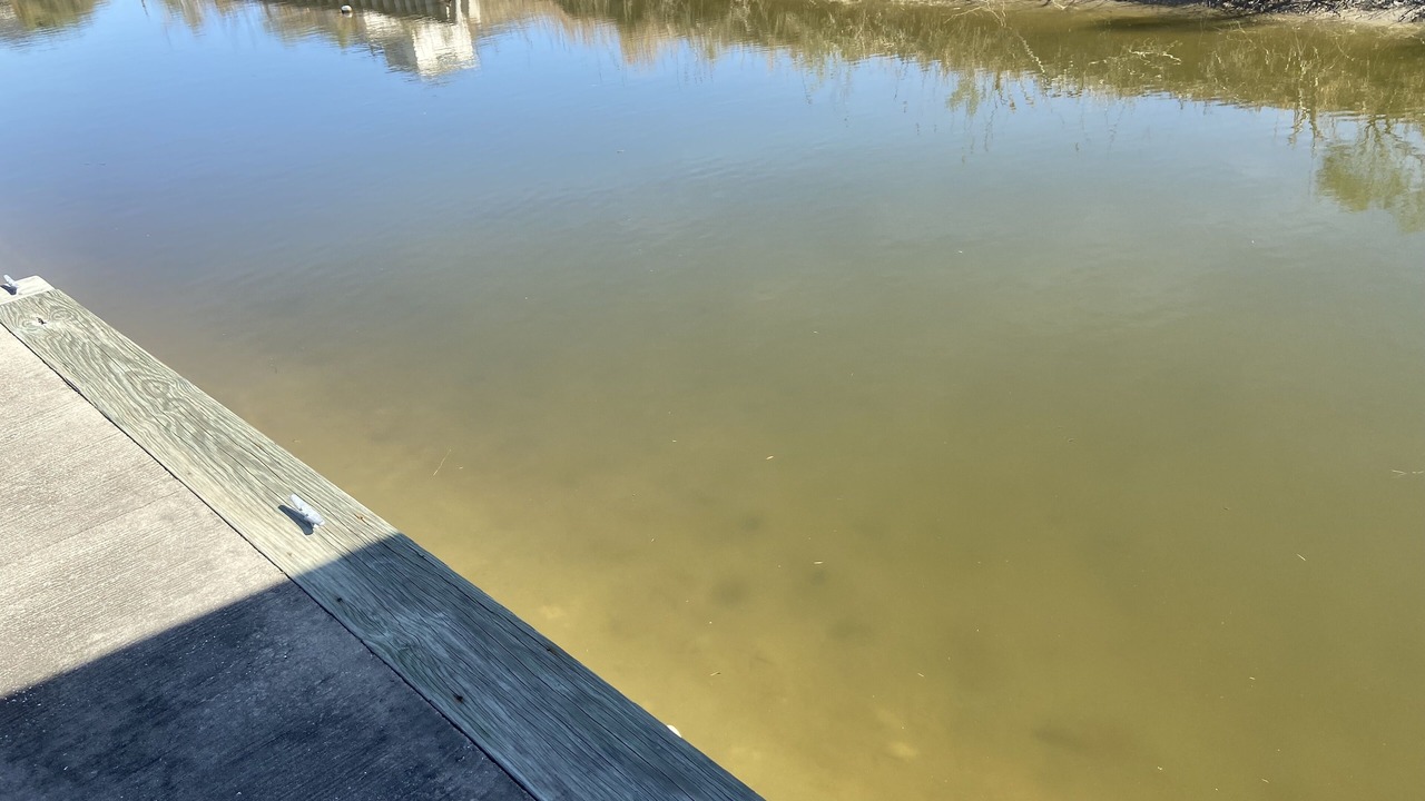Photo of Outdoor in Hackberry