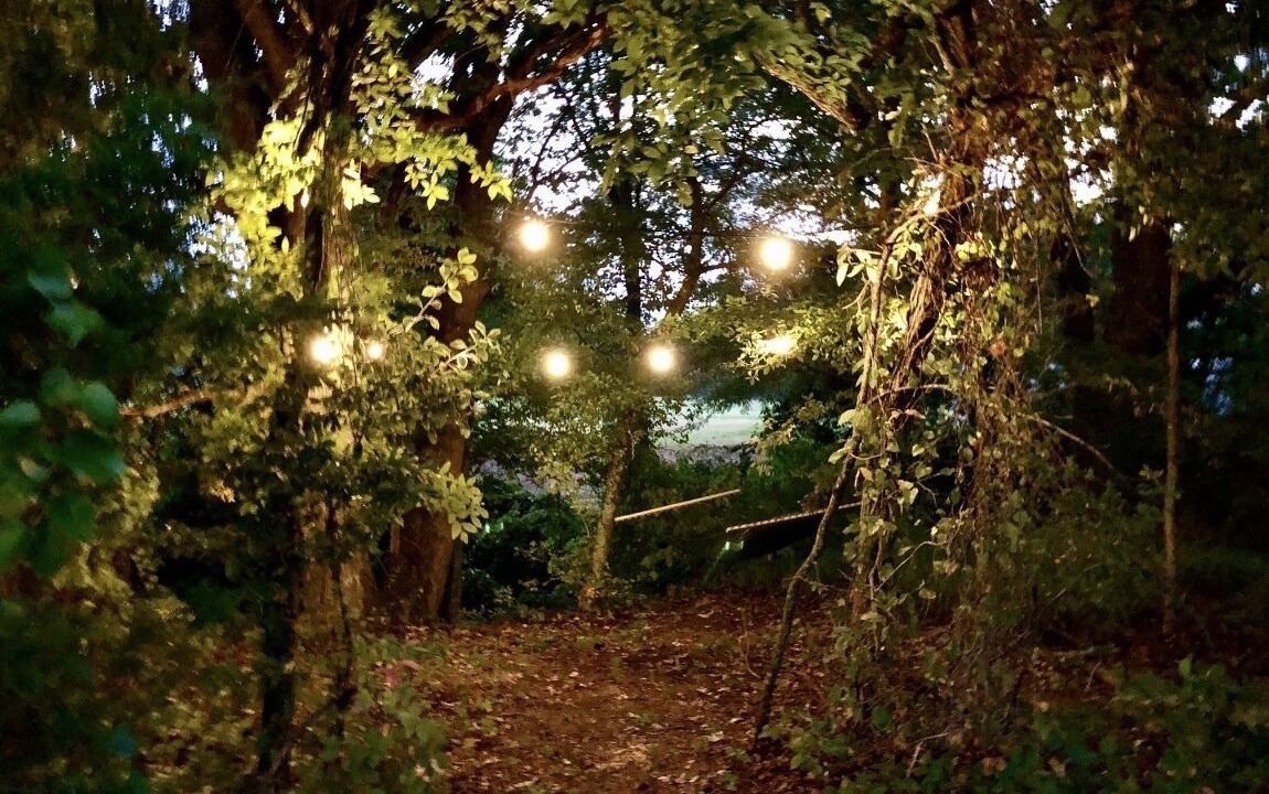 Photo of Outdoor in Emory