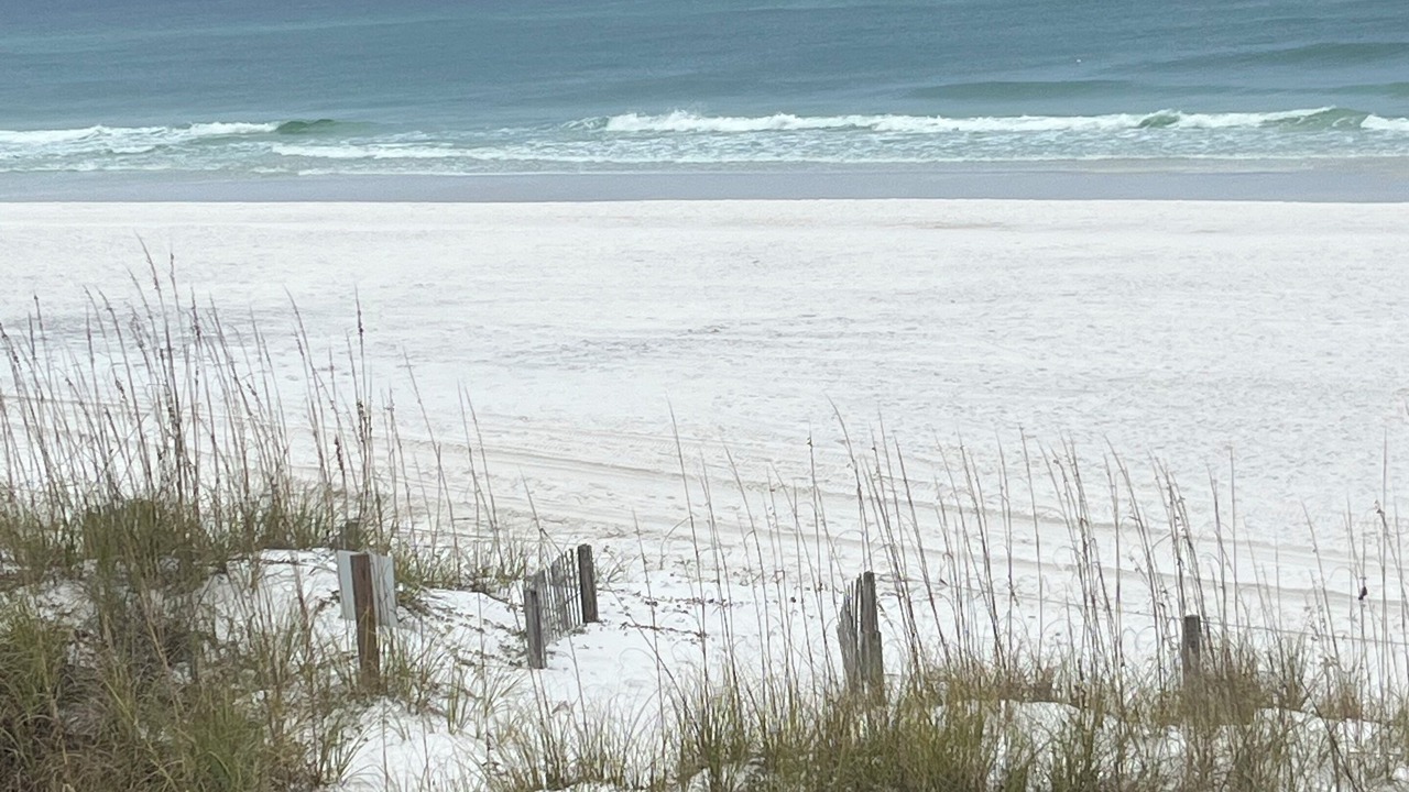 Photo of Others in Gulf Place