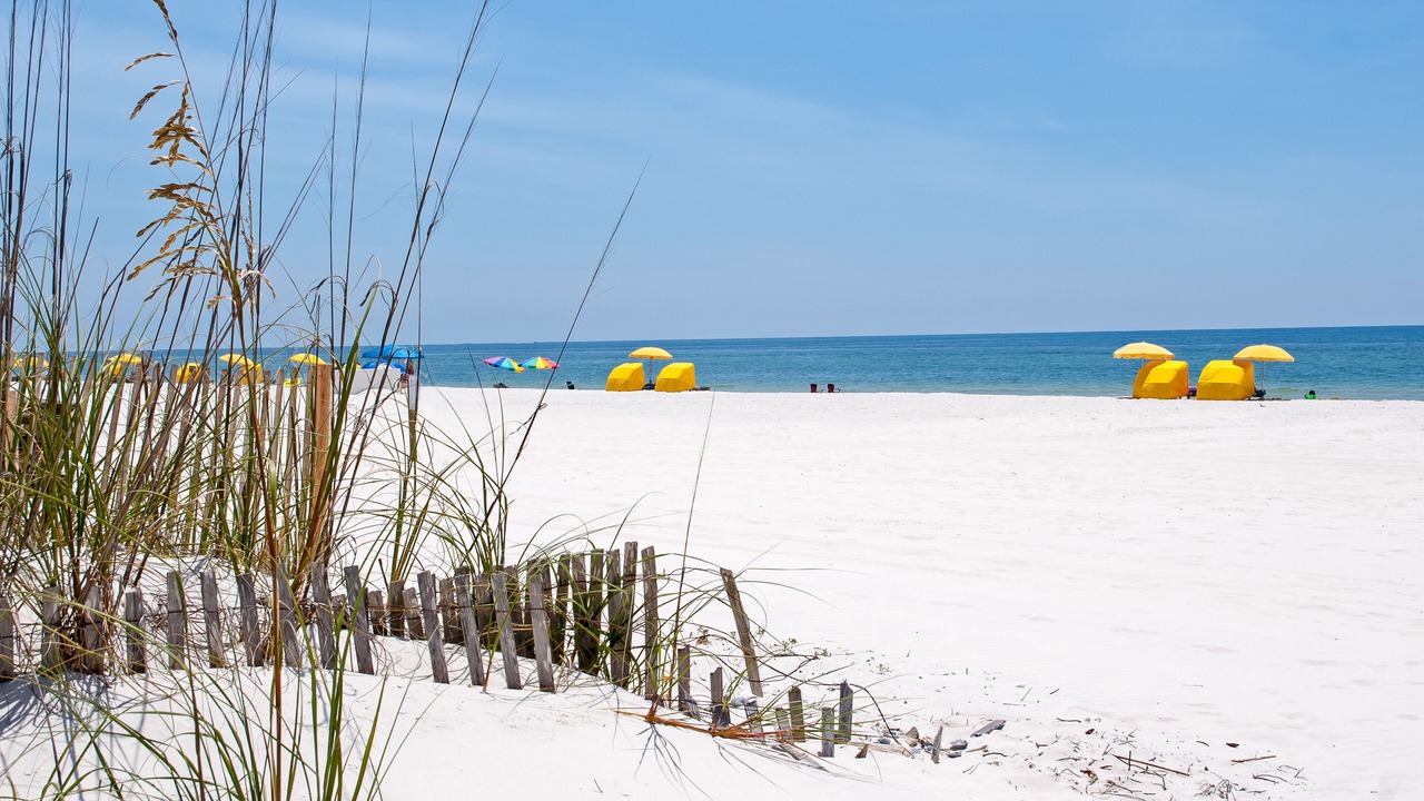 Photo of Others in Gulf Shores