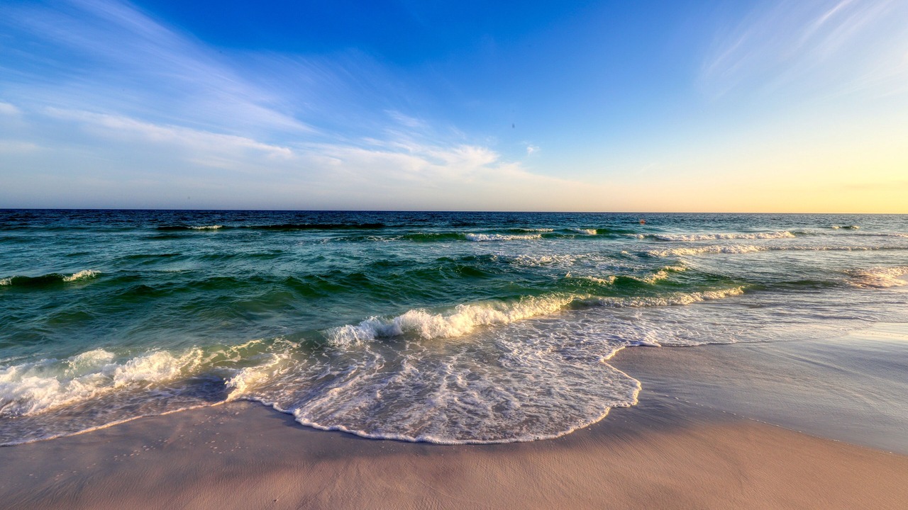 Photo of Others in Dune Allen Beach