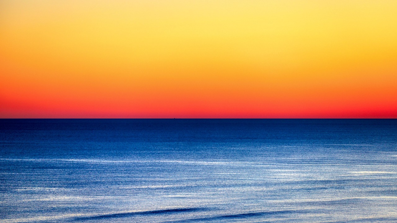 Photo of Others in Dune Allen Beach