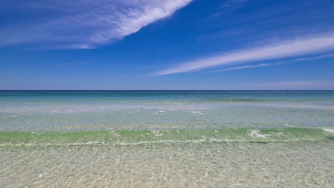 Photo of Others in Dune Allen Beach