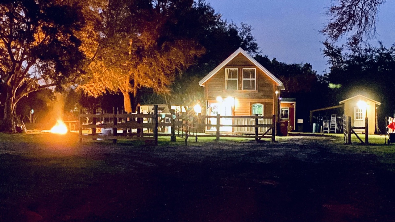 Photo of Others in Harold