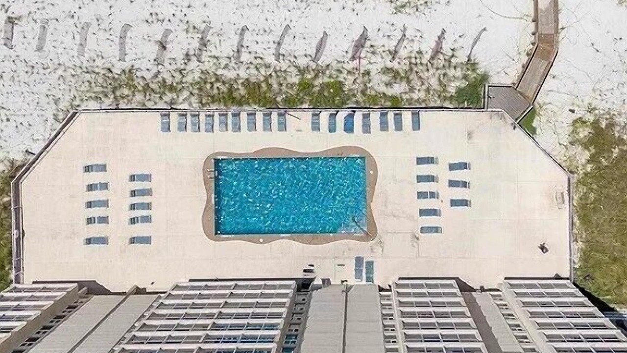 Photo of Outdoor in Gulf Shores
