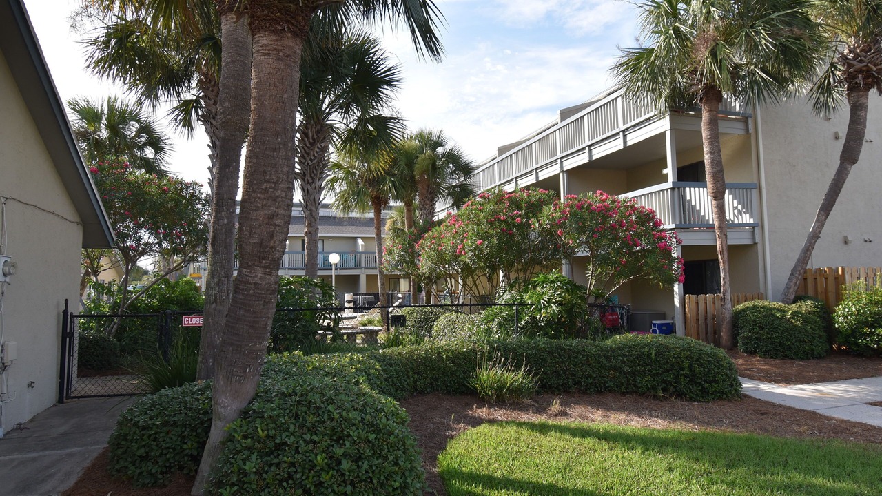 Photo of Outdoor in Gulf Lagoon Beach