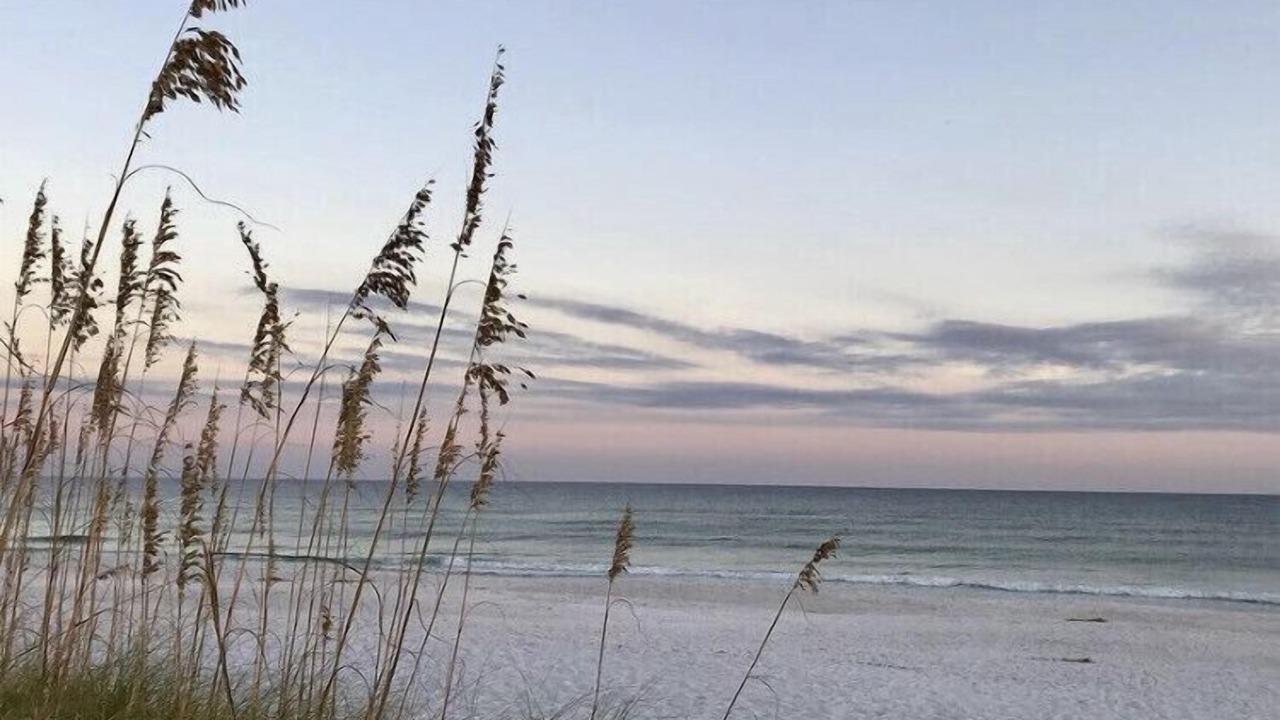 Photo of Others in Gulf Breeze