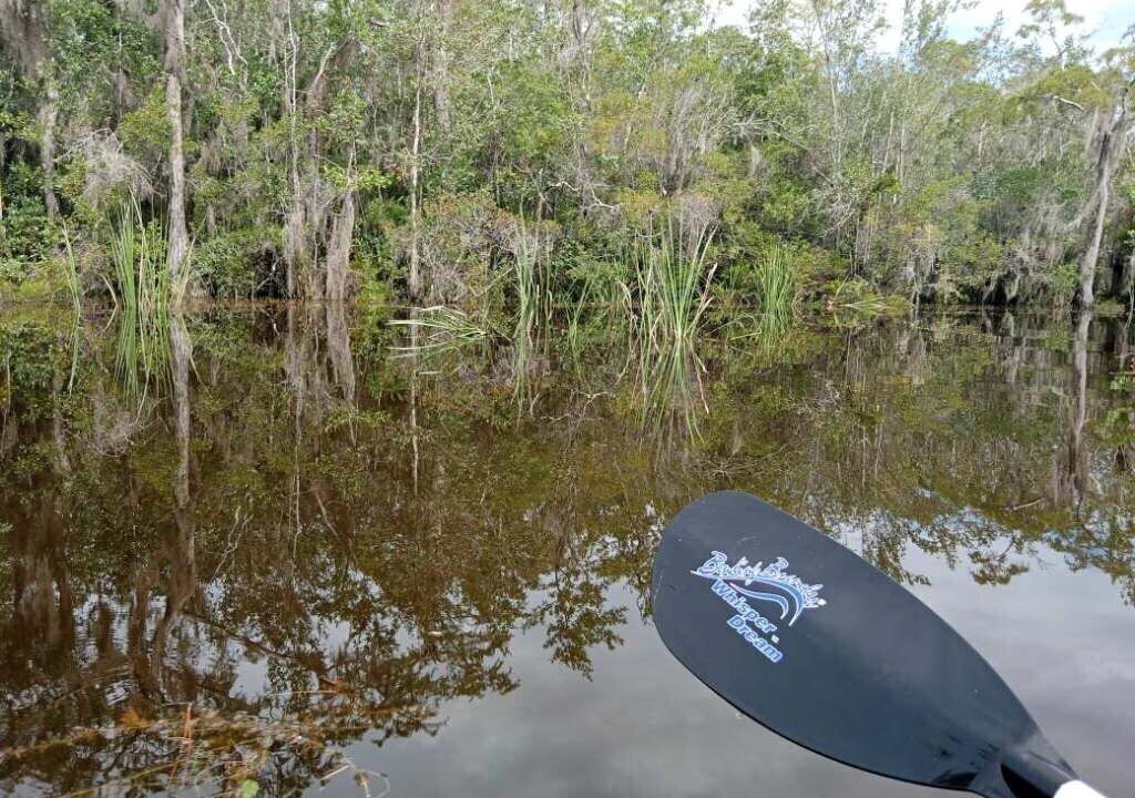 Photo of Others in Milton