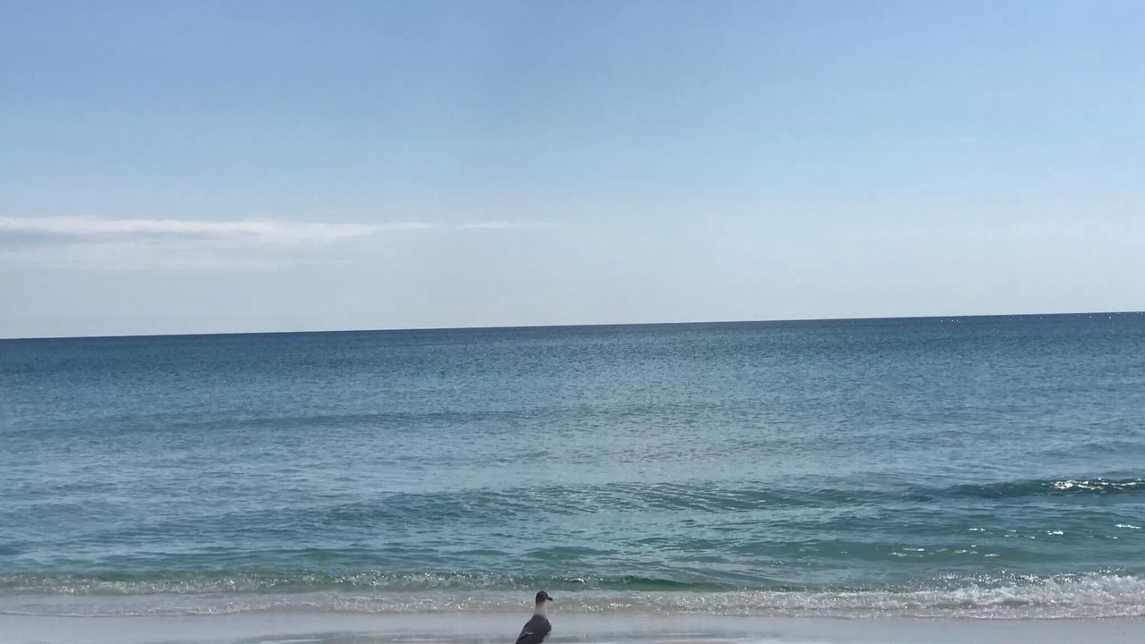 Photo of Others in Avalon Beach Estates