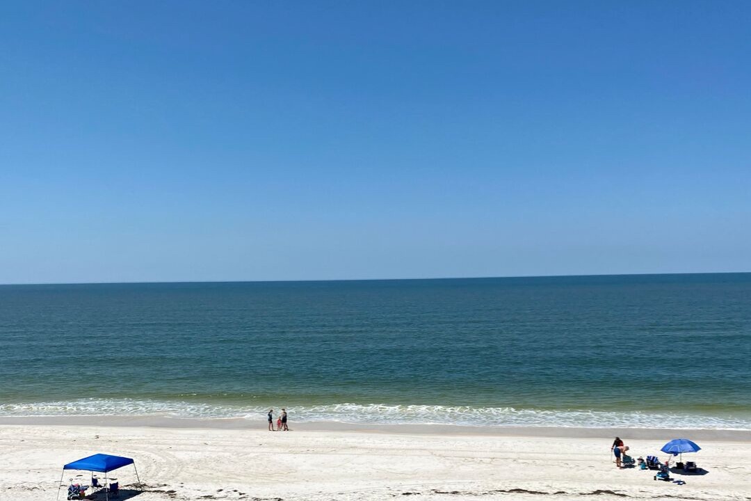 Photo of Others in Mexico Beach