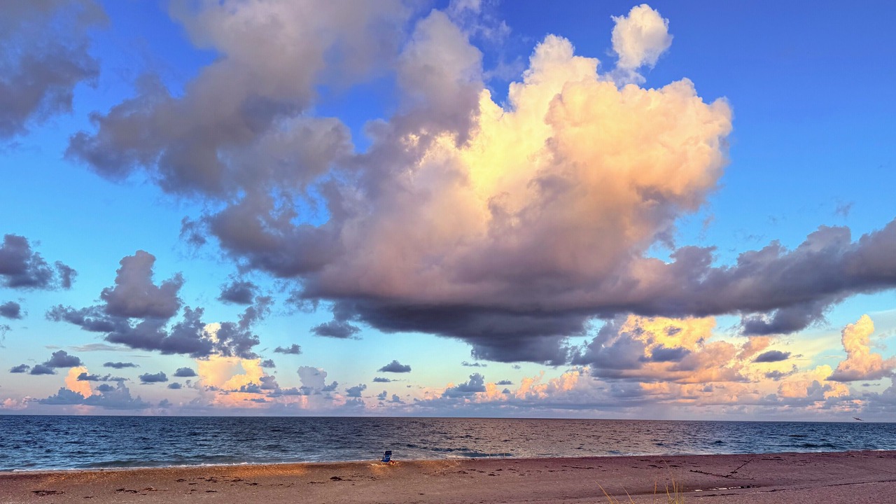 Photo of Others in Port Charlotte