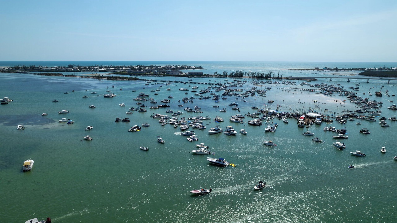 Photo of Others in Port Charlotte