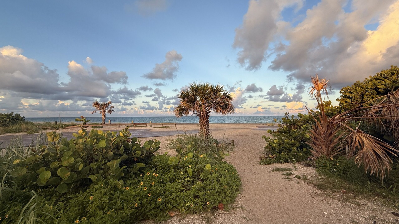 Photo of Others in Port Charlotte
