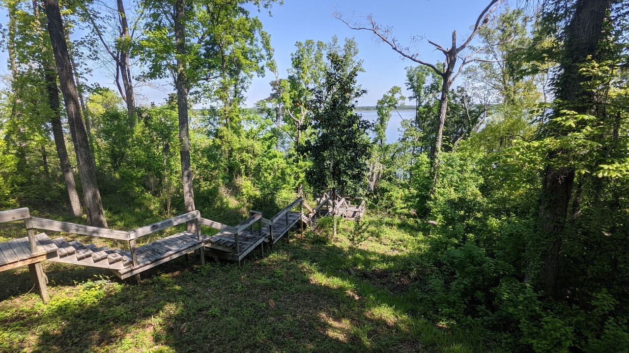 Photo of Outdoor in Mount Pleasant