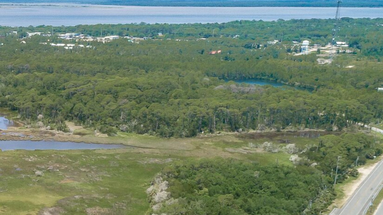 Photo of Outdoor in Magnolia Bluffs