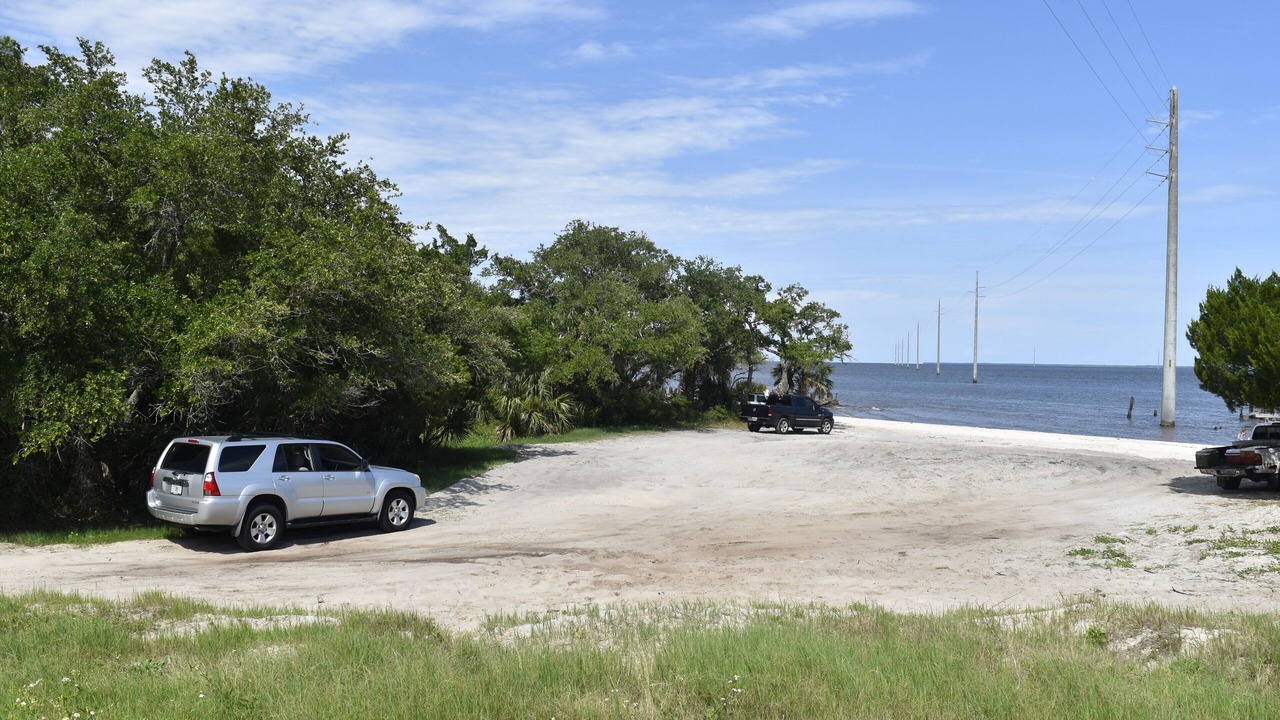 Photo of Others in Magnolia Bluffs