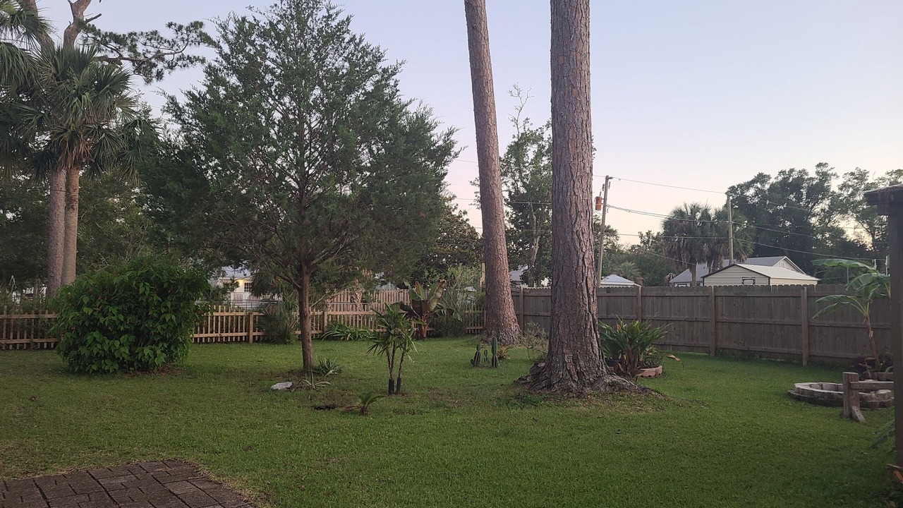 Photo of Others in Port St. Joe