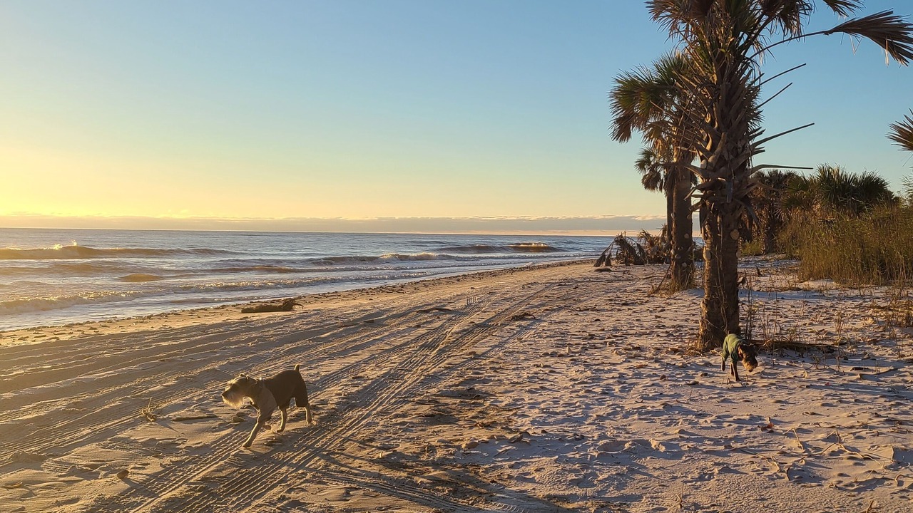 Photo of Others in Port St. Joe