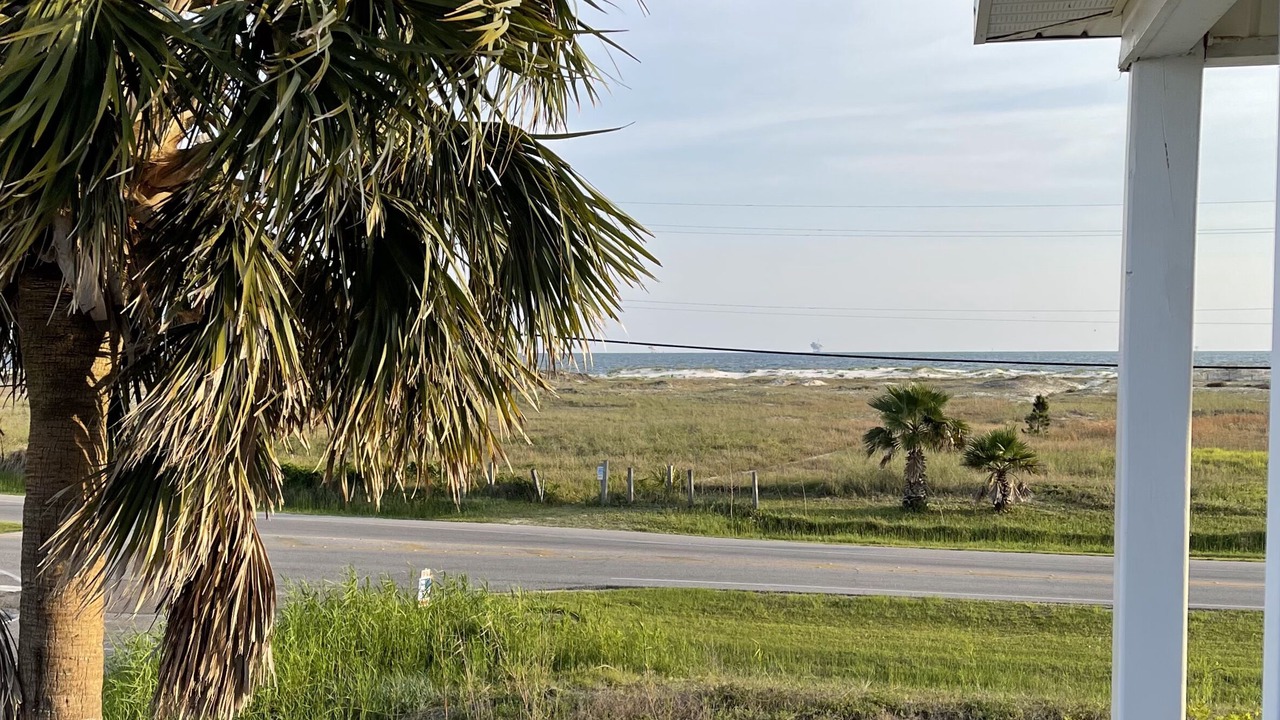 Photo of Outdoor in Dauphin Island