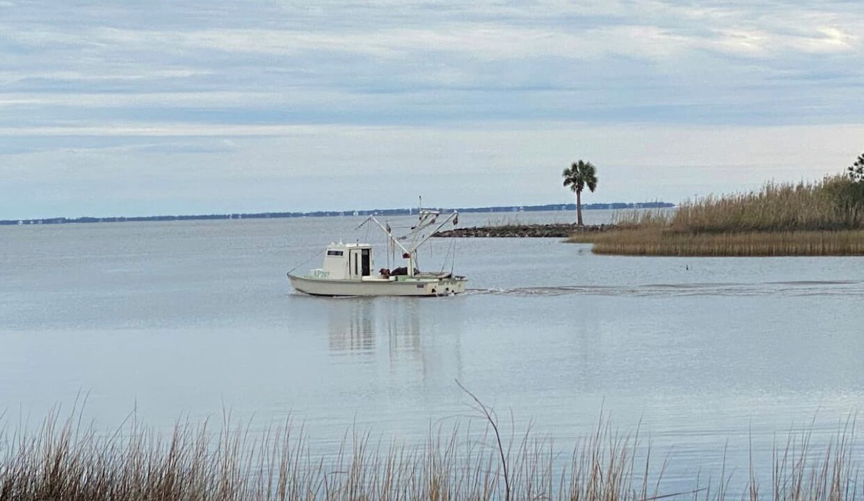 Photo of Outdoor in Apalachicola