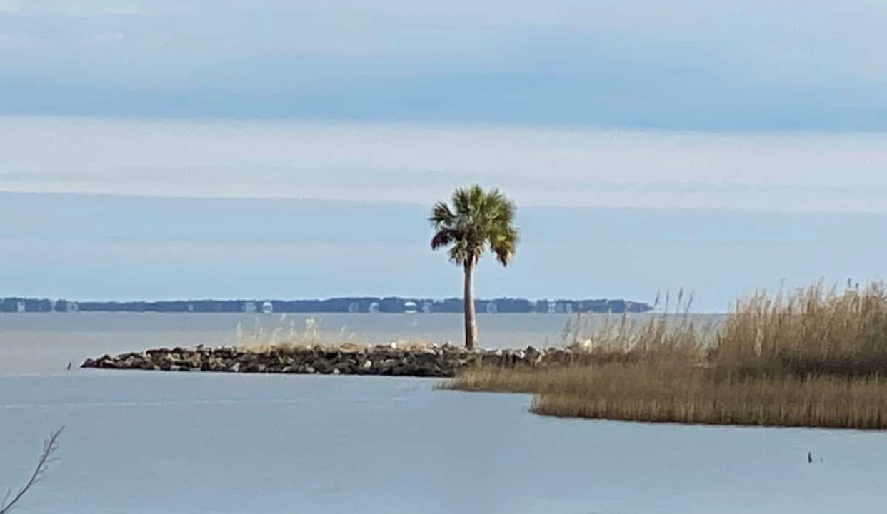 Photo of Others in Apalachicola