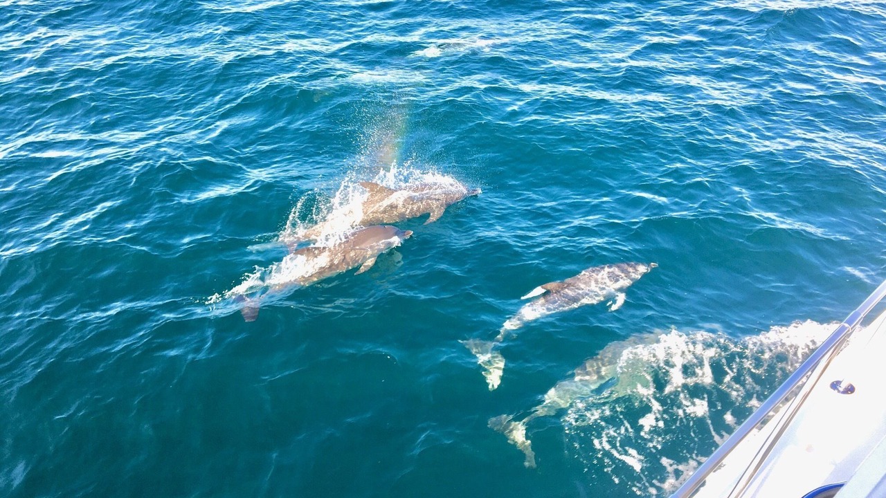 Photo of Outdoor in Destin