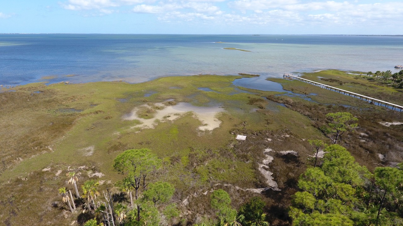 Photo of Others in Cape San Blas