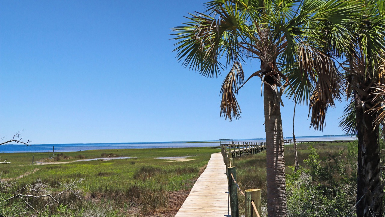 Photo of Others in Cape San Blas