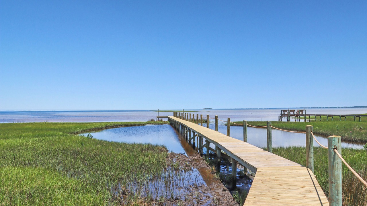 Photo of Others in Cape San Blas