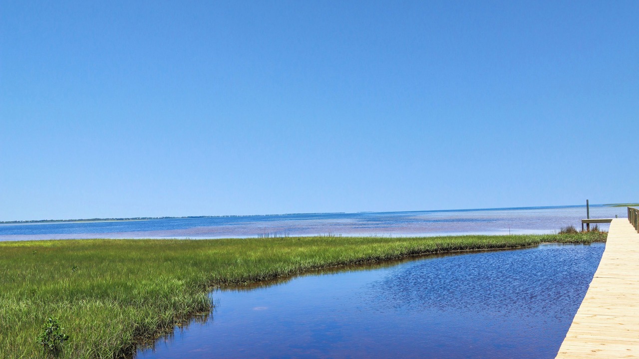 Photo of Others in Cape San Blas