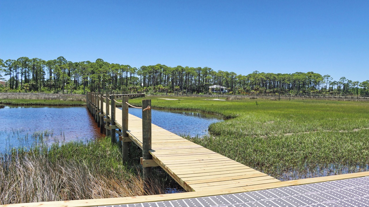 Photo of Outdoor in Cape San Blas