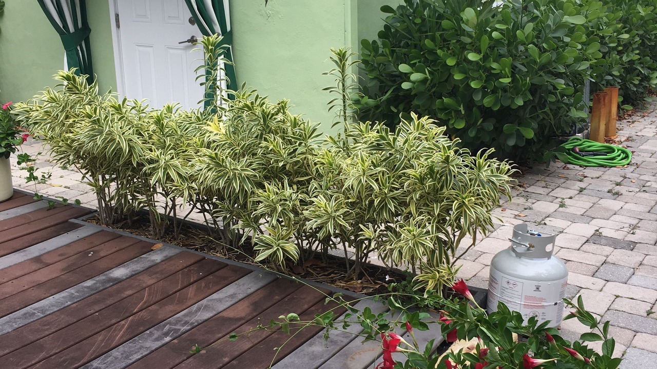 Photo of Outdoor in West Palm Beach