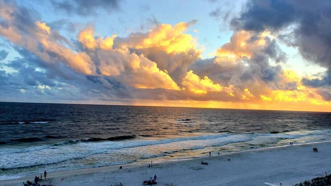 Photo of Others in Fort Walton Beach