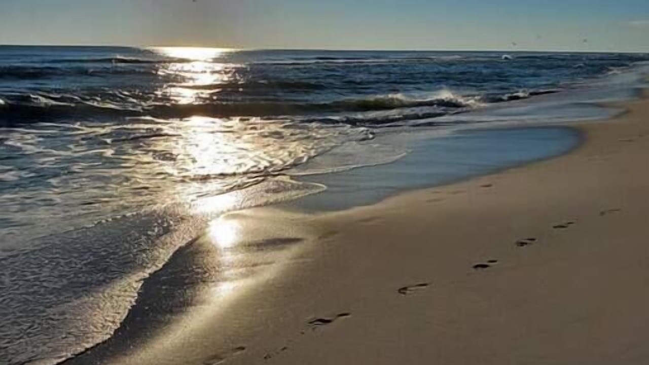 Photo of Others in Fort Walton Beach