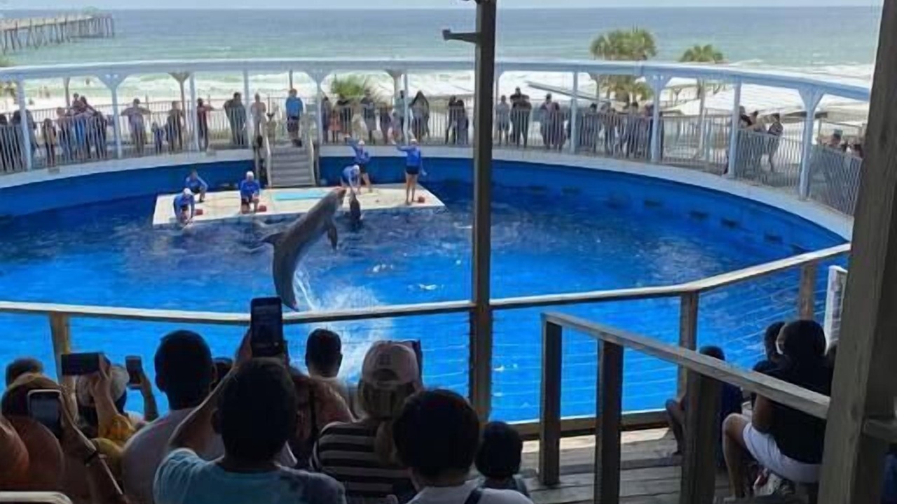 Photo of Others in Fort Walton Beach