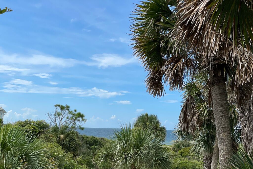 Photo of Outdoor in Treasure Beach Village